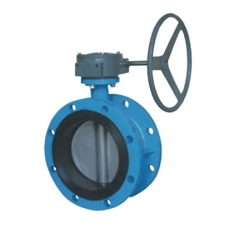EN593 Concentric Butterfly Valve